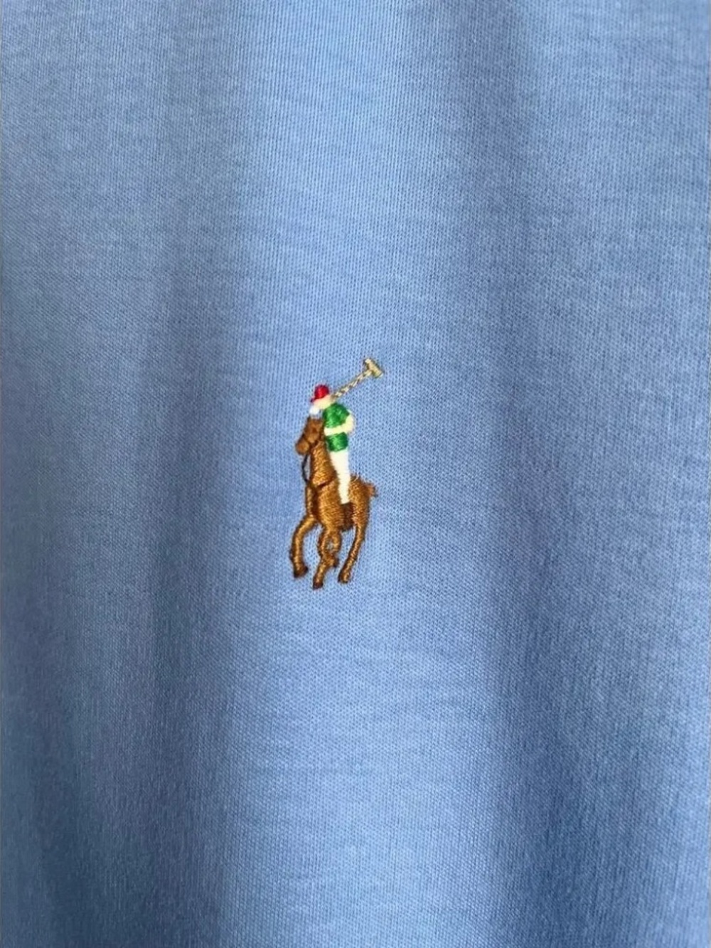 Polo Ralph Lauren Light Blue Classic Fit Cotton Polo Multicolor Pony | Large